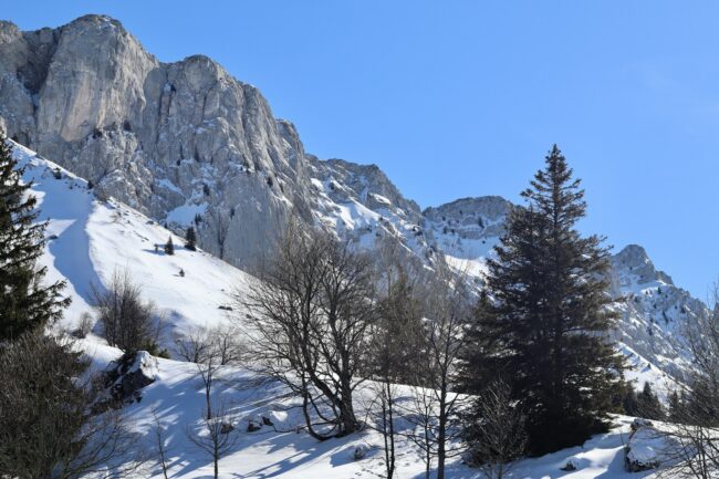 Villard-de-Lans